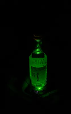 20250829-DSC_0276-Улучшено-Ум. шума.jpg