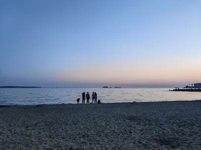 000105_-201812436_457239465.jpg