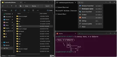 wsl_demo.png